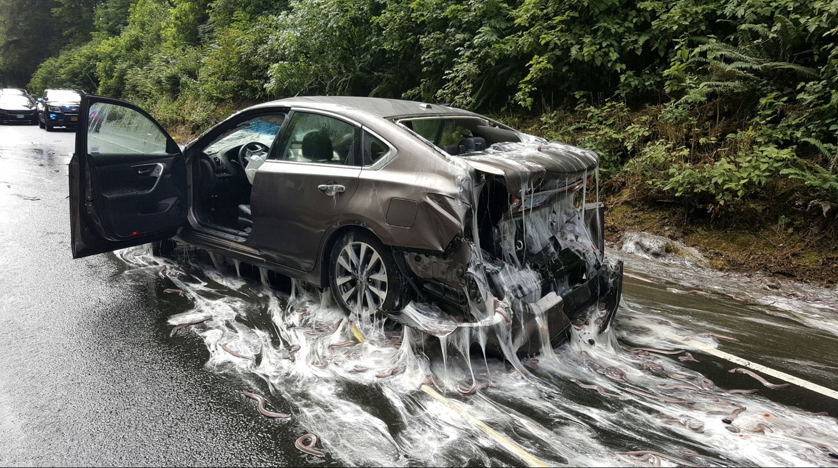 hagfish truck